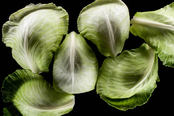 Vue de dessus des feuilles de chou vert humide isolées sur noir — Photo de stock