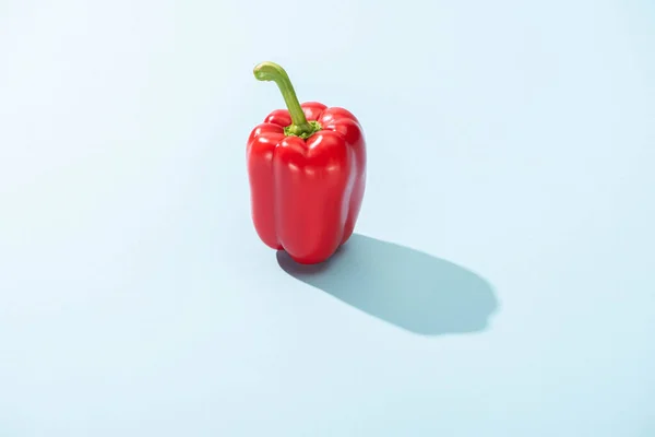 Fresh red bell pepper on blue surface with shadow — Stock Photo