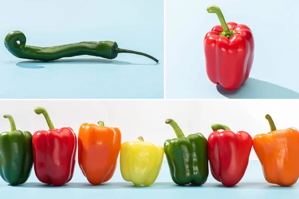 Collage of fresh colorful bell peppers and jalapenos on blue surface on white background — Stock Photo