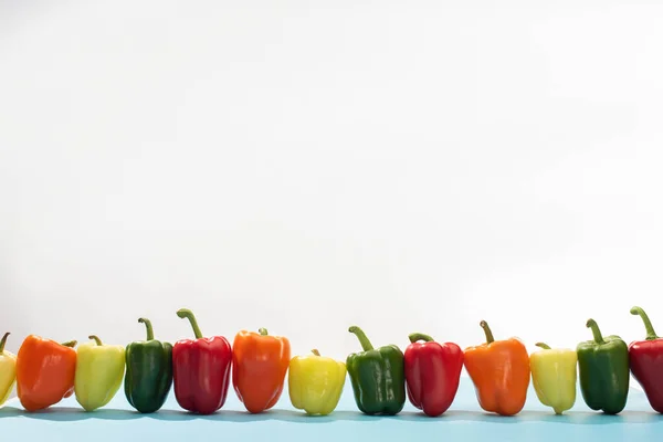 Fresh colorful bell peppers in row on blue surface on white background — Stock Photo