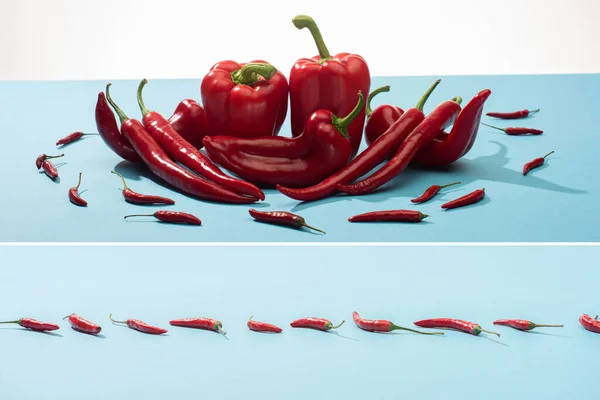 Collage of fresh red bell peppers and chili on blue surface on white background — Stock Photo