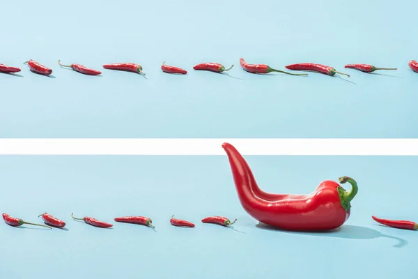 Collage de chiles rojos frescos en la superficie azul - foto de stock