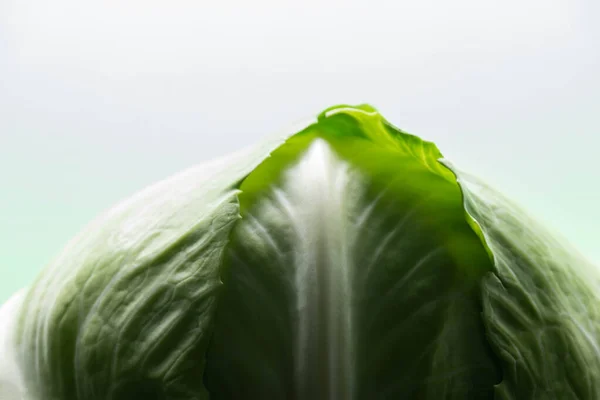 Close up view of green fresh cabbage on white background — Stock Photo