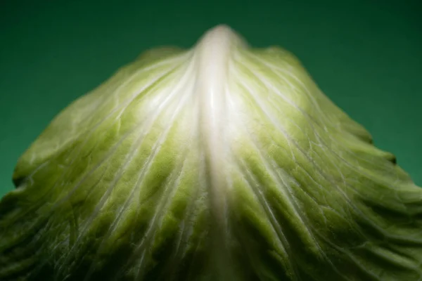 Close up view of fresh cabbage leaf on green background — Stock Photo