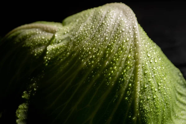 Крупним планом вид на вологі свіжі листя капусти ізольовані на чорному — стокове фото