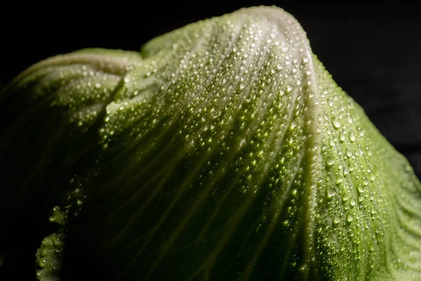 Vue rapprochée des feuilles humides de chou frais isolées sur noir — Photo de stock