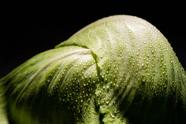 Vue rapprochée des feuilles humides de chou frais isolées sur noir — Photo de stock