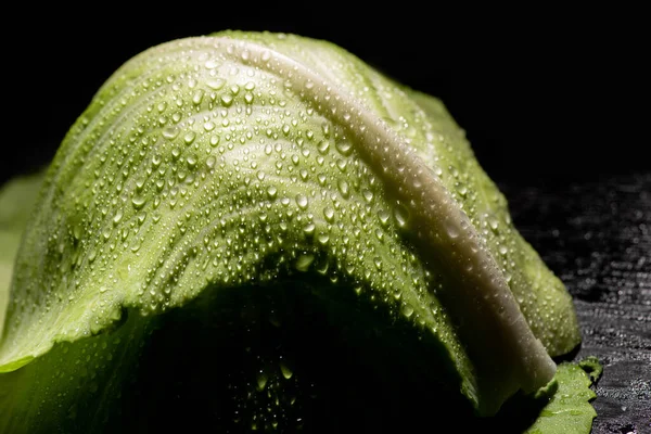 Закрытый вид на мокрый лист свежей капусты, изолированный на черном — стоковое фото
