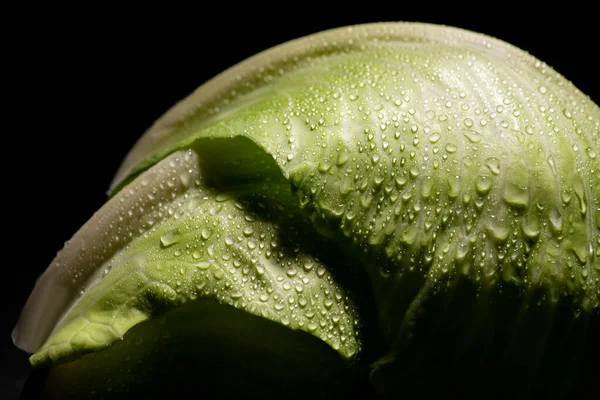 Hojas húmedas de col fresca con gotas aisladas en negro - foto de stock