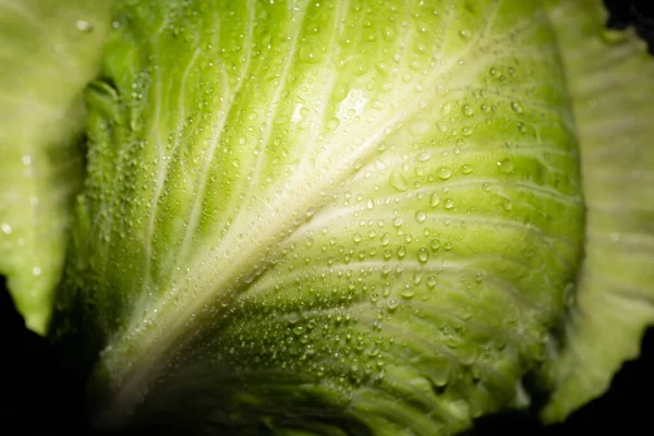 Close up view of wet green cabbage leaf isolated on black — Stock Photo