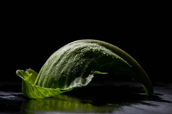 Wet green cabbage leaf isolated on black — Stock Photo