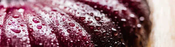Close up view of wet cut onion with water drops, panoramic crop — Stock Photo