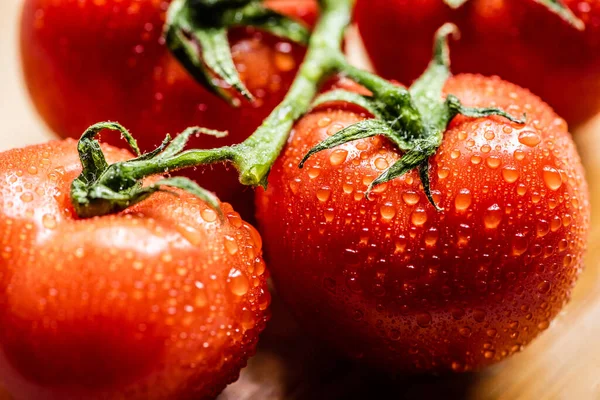 Primer plano vista de tomates rojos maduros frescos en rama con gotas de agua - foto de stock