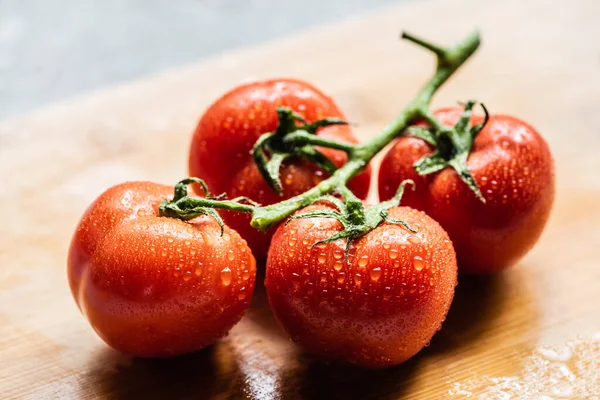 Frische reife rote Tomaten auf Zweig mit Wassertropfen auf Holzbrett — Stockfoto