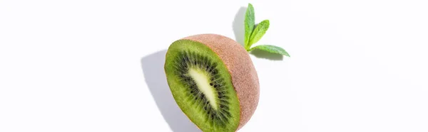 Panoramic concept of organic kiwi fruit half near peppermint leaves on white — Stock Photo