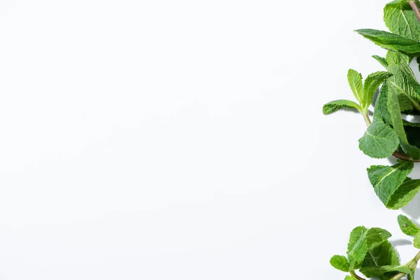 Vista dall'alto di menta piperita verde su bianco con spazio copia — Foto stock