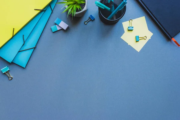 Vista dall'alto di cartelline di carta, piante e cancelleria su superficie blu — Foto stock