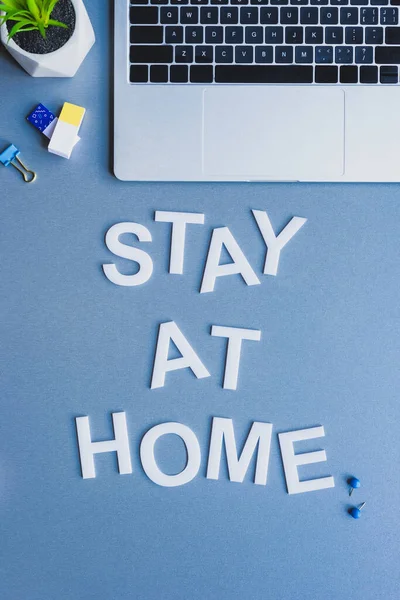 Top view of stay at home lettering near plant, push pins and erasers on blue surface — Stock Photo