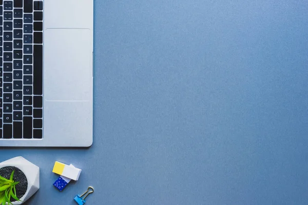 Top view of laptop, plant and binder clip with erasers on blue surface — Stock Photo