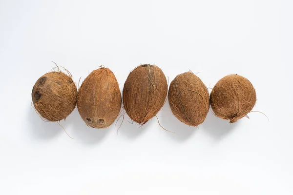Top view of fresh tasty whole coconuts on white background — Stock Photo