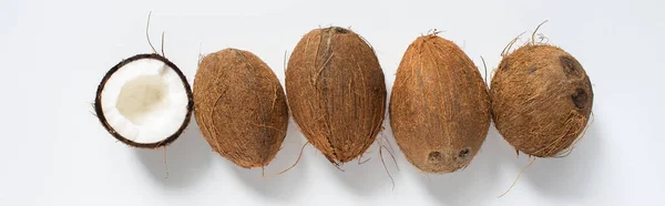 Top view of fresh tasty whole coconuts and half on white background, panoramic shot — Stock Photo