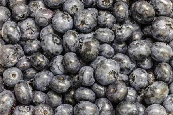 Juicy ripe blueberry — Stock Photo, Image