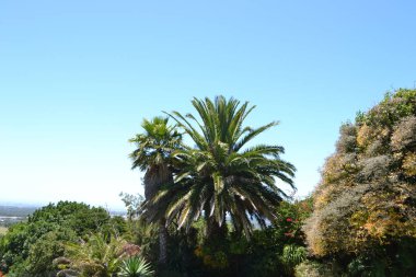 Soluk mavi gökyüzünde önünde