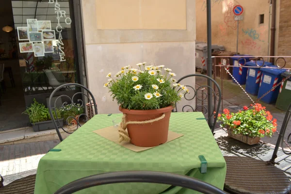 Cadde kafe İtalya — Stok fotoğraf