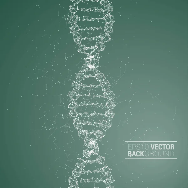 DNA molecule back — Stock Vector