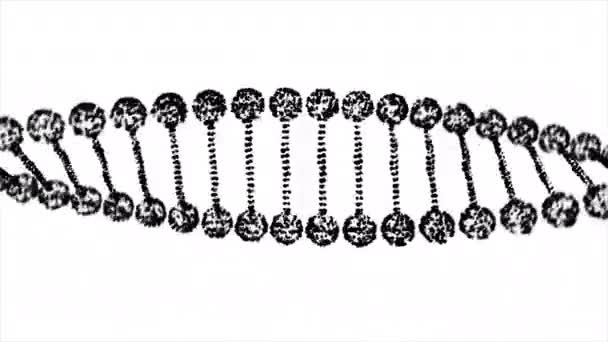 Abstract Dark DNA Double Helix Depth of Field Rotation — Stock Video