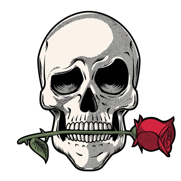 Ručně tažené lebka s růží — Stockový vektor