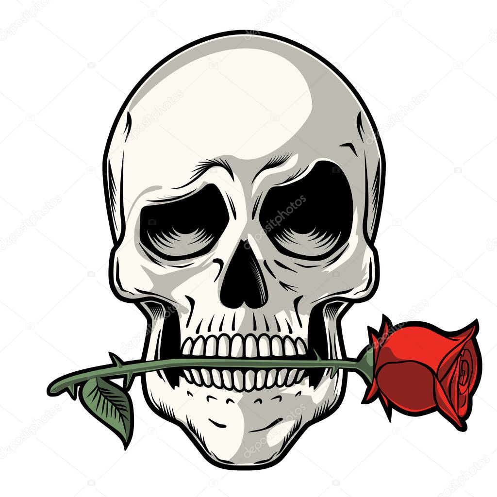 Hand Drawn Skull with a Rose