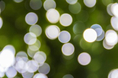 Yeşil bokeh ve beyaz gömerim zemin daire