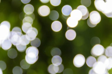 Yeşil bokeh ve beyaz gömerim zemin daire