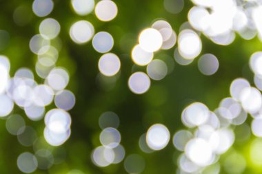 Yeşil bokeh ve beyaz gömerim zemin daire