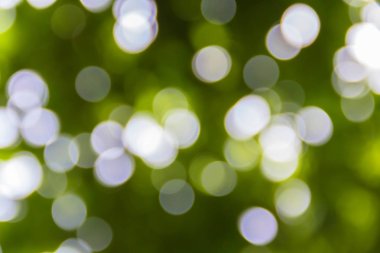 Yeşil bokeh ve beyaz gömerim zemin daire