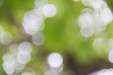 Yeşil bokeh gömerim arka plan