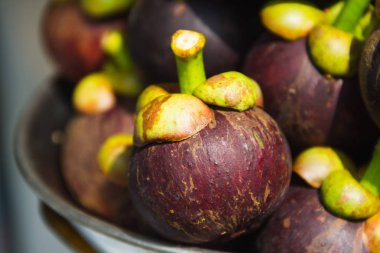 Mangosteen ölçekler üzerinde