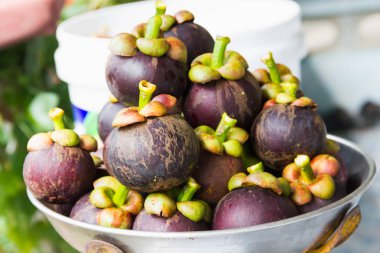 Mangosteen ölçekler üzerinde