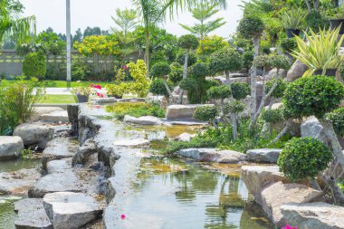 Şelaleli taştan bahçe ve çiçekli süs, yaz mevsiminde ev çiçekleri bahçesinde..