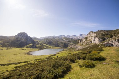 Covadonga Gölü, İspanya