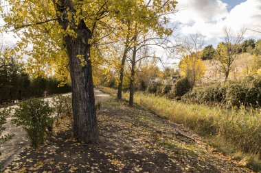 Canal de castilla, İspanya