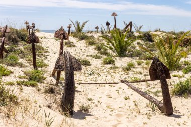 Tavira, Portekiz. Çemiterio das Ancoras (Anchor Mezarlığı), Praia do Barril 'in Ilha de Tavira adasındaki büyük bir şehir simgesidir.