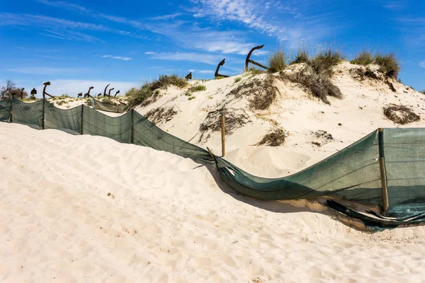 Tavira Portugal Cemitério Das Ancoras Dos Principais Marcos Praia Barril — Fotografia de Stock