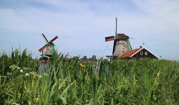 Gammal väderkvarn från Amsterdam — Stockfoto