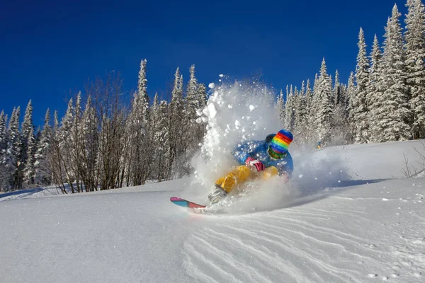 Snowboarder facendo una punta laterale intagliare — Foto Stock