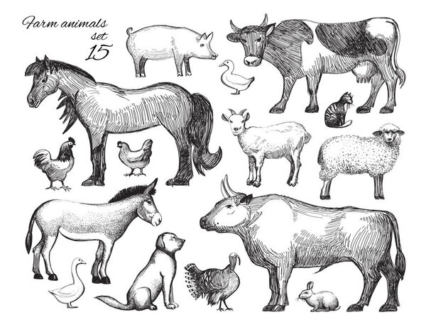 Farm animals doodle set. Vector