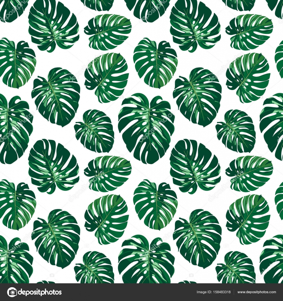 Seamless Monstera Palm Leaves Pattern Vector Image By C Arakolog Vector Stock Seamless Monstera Palm Leaves Pattern Vector Image By C Arakolog Vector Stock