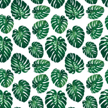 Desen sorunsuz monstera palmiye yaprakları