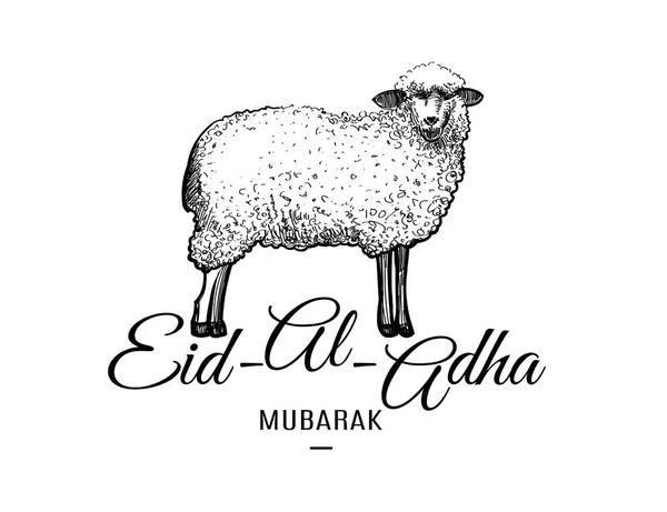 Șablon de felicitare Eid-al-adha cu oaie trasă manual izolată pe alb — Vector de stoc